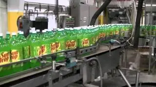 Sentry Tabletop Conveyor