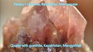 САЙТ PERELIVT