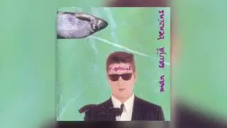 Roberts Gobziņ&scaron; - Pilots idiots
