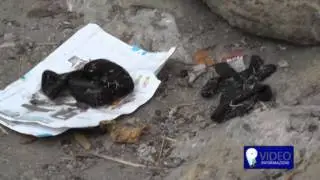 Napoli, il buco a cielo aperto nelle Torri Aragonesi