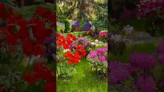 Наташа Королева .Знаменитости. В саду. #christinasmith #walk #relax