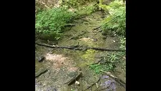1901 Sugar Mountain Drive, Sugar Mountain NC 28604