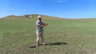 Burrowing Owl Release
