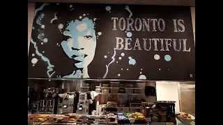 Toronto is Beautiful - Views from the 6ix (Rough Draft)