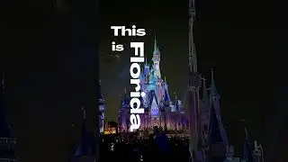 This is Florida! 🏰☀️🐊