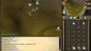 [RS2006] Classic Runescape Private Server