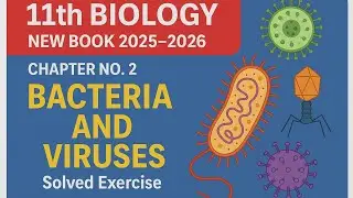 &lrm;New Book 2025 | Biology Class 11 Chapter 2 | Bacteria & Viruses | Quick Revision |