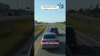 🚗💥BRAINLESS DRIVERS🚗💥