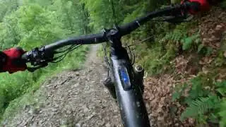 Brechfa  Raven Trail