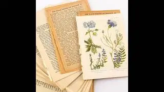 Old book pages from Crafty Kelly