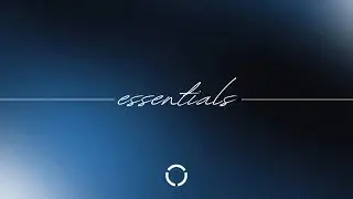 People Mess | Essentials Week 1