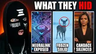 Candace Owens Drama & Hidden Truths Exposed + More CRAZY Videos!