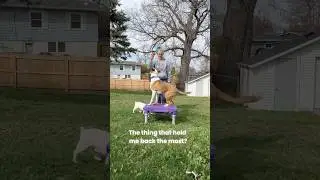 Before You Train Your Reactive Dog, Understand This First