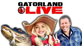Florida Cold Front blows through Gatorland Live!