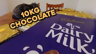 10kg Cadbury Chocolate - my precious!