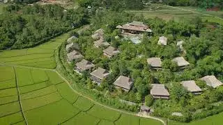 Mai Chau Ecolodge - the amazing lush green rice fields