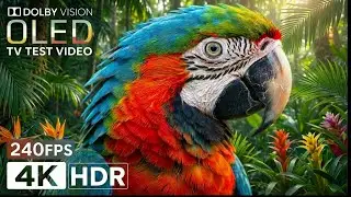 Tropical Islands, Dramatic Coastlines & Sunsets | 4K Nature Compilation