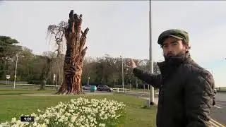 16.04.21 TREE OF LIFE SCULPTURE, CLONTARF/RAHENY, DUBLIN