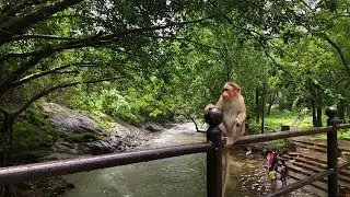 Tambdi Surla Temple, Spring, Picklewadi Waterfall, pebble spring Goa