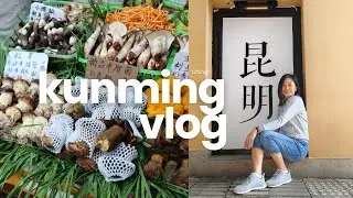 云南昆明 🇨🇳 | 体验旅拍和赶集 📸🛒