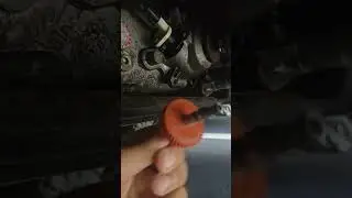 Speedometer Gear