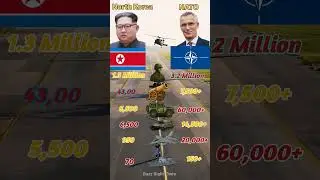North Korea vs NATO Artillery Power 💣| #northkorea #usa #france #uk #germany #turkey #nato #shorts