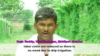 TSMIP_HORTICULTURE SIDDIPET District