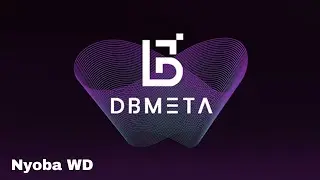 DBMETA Network - Uji Coba Withdraw