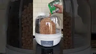 amazon kitchen must haves 2024