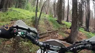 Idaho 25 Elk Loop  First obstacle up a root waterfall  Trail is rough!
