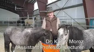 Dr. Kathy Moroz on Equine-Assisted Therapy