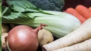 10 различий между традиционным сельским хозяйством и устойчивым сельским хозяйством