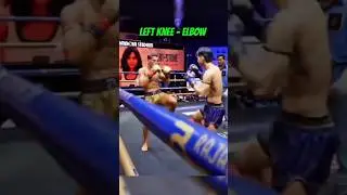 Muay Thai Combo Strike👊#kickboxing#boxing#fighter#trendingreel#elbowstrike#viralreel#trandingreel