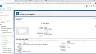 Composite API Salesforce