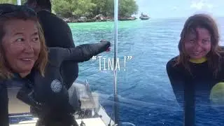 Palau Travel Guide