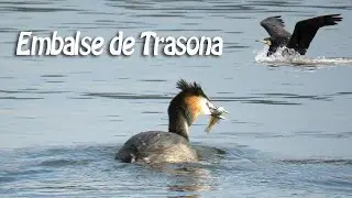 Embalse de Trasona.