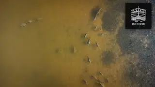 Pêche de la CARPE en DRONE à l’Étang du Soleil.