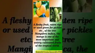 ABOUT OUR NATIONAL FRUIT MANGO 1 #social #upsc #sslc #video #gk #nationalsymbols #english #history