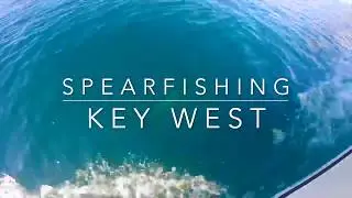 Mangroves To Maquesas, A Key West Film