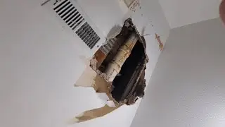 How to Repair a Leaking Toilet and Fix a Water-Damaged Ceiling