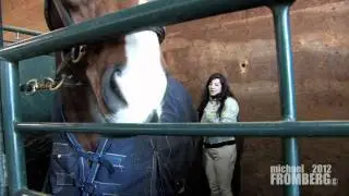 Horse Jumping at Thunderbird Show Park with April Dawn Ray 1 - Michael Fromberg