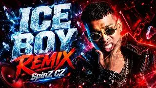 ICEBOY REMIX | HYBRID POP TAPORI | SPINZ CZ
