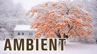 [LIVE] Winter Ambient ❄️ Sleep & Yoga Soundscape | Series C &ndash; Night Calm (No Vocals)