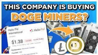 This Company is Buying DOGE Miners and offering MINING to its USERS?!