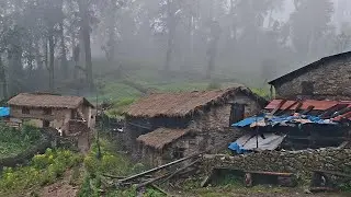 This is Himalayan village life During Heavy Rainy|| most placeful and relaxing video in Nepal