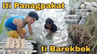 How To Catch Shrimp Using Plastic Bottles /Traditional Way of Catching Shrimp From The River