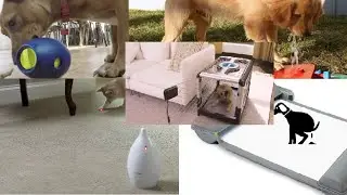 5 DOGS|CATS GADGETS INVENTION YOU MUST HAVE