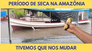 🚨 SECA NO LAGO DO PURAQUEQUARA: CASAS FLUTUANTES EM FUGA E TUCUNARÉ SURPREENDE AO PULAR DENTRO! 🐟