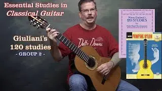 Essential Studies - Giuliani's 120 Studies - Group 2 (Pumping Nylon)