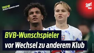 BVB verpasst Wunsch-Transfer | True or not true